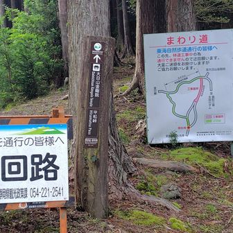 う回路。他の方の日記では「通行可能」という情報もありましたが、まあ念のため素直にう回路に行きました