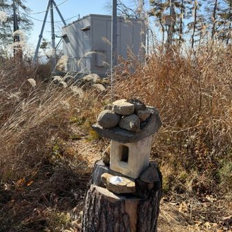 山城があっただけに山頂は平らで広め