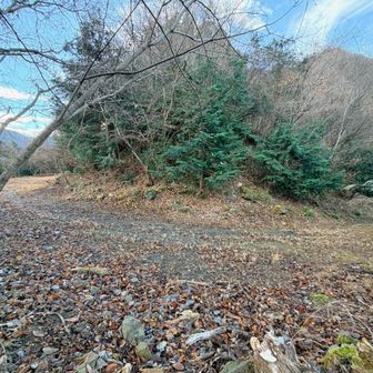 林道に出ました。
左に進みます。