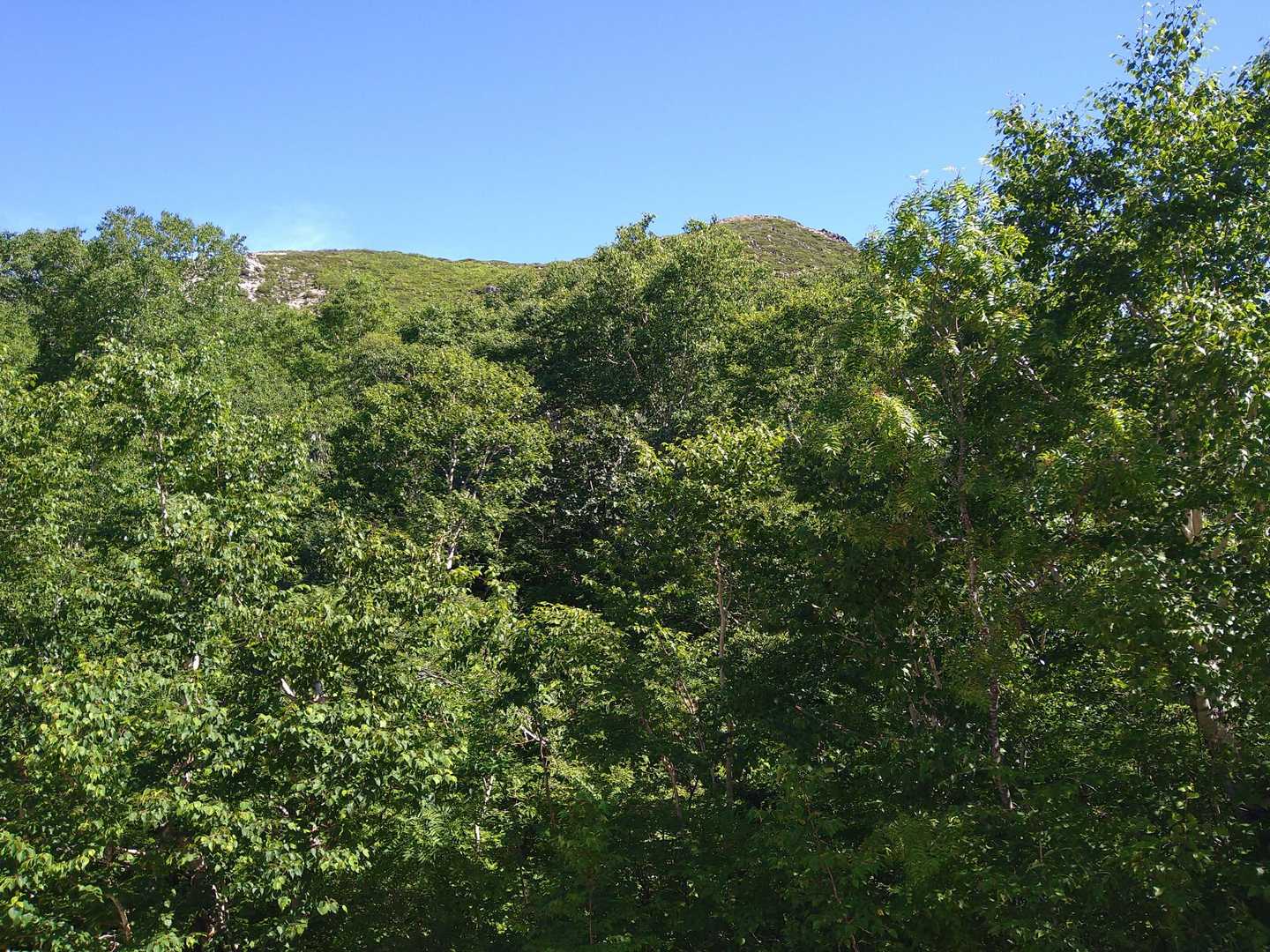 山頂