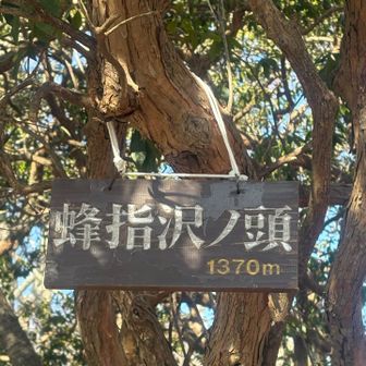 戻ってきました