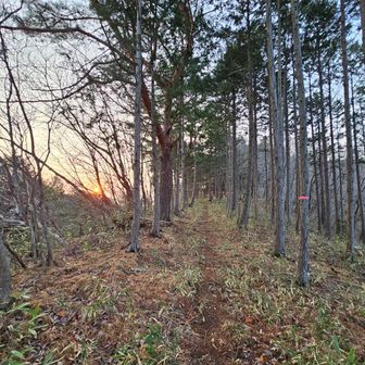スタート
日の出が早くなりました