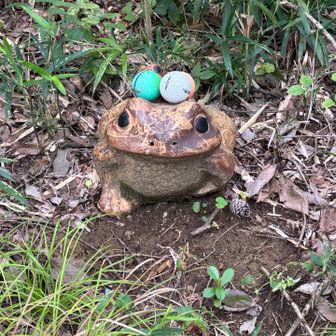 小天狗への分岐点にはカエルがお出迎えしてくれてました…何で頭にゴルフボールなの？