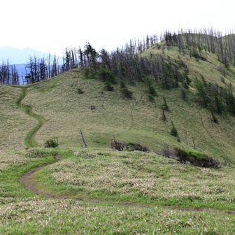 左、縦走路。右、横川山。