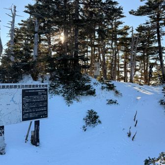 勿論、光岳山頂へもノートレース…
やっと着いた…