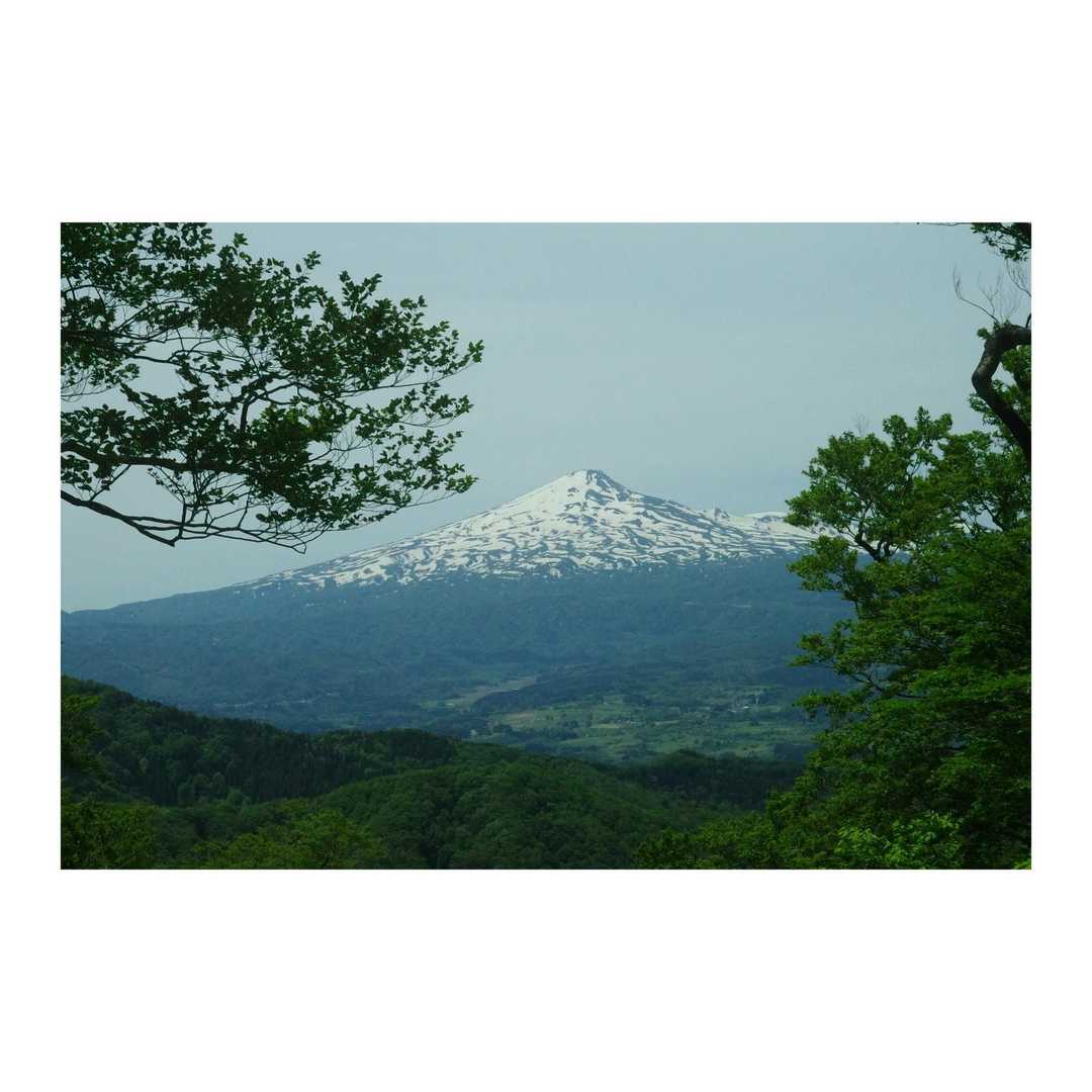 鳥居の沢登山口-八塩山 周回コースの写真