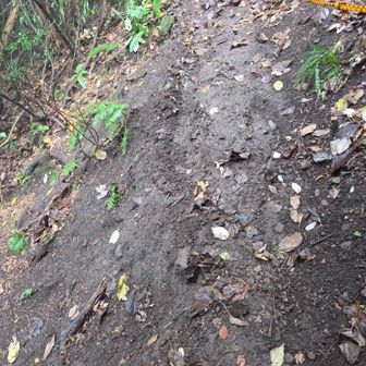 踏ん張りどころがないドロの急斜面

立つことすらできず😰
さすがにロープブレイク