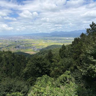 反対側も同じく綺麗
