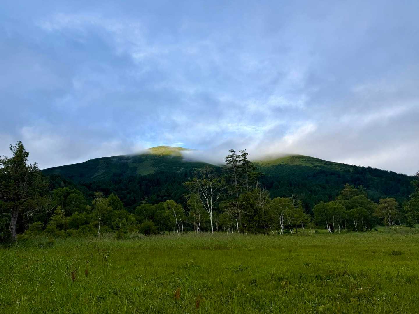 朝至仏山☀️
おはようー