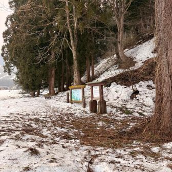 ちょこっと道路歩きから山へ