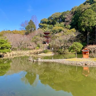 浄瑠璃寺の庭園にある　三重塔と宝池