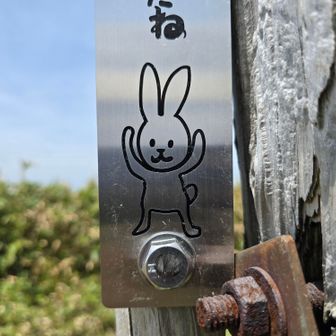 兎岳山頂に到着です。
可愛い🥰
