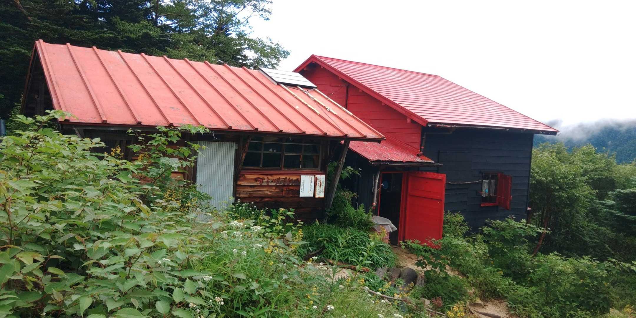 すっ飛んでコスモ小屋。
小屋主としばしお話タイム。色んなお話してもらいました😽