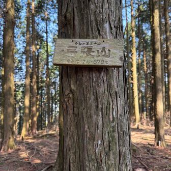 山頂のプレート