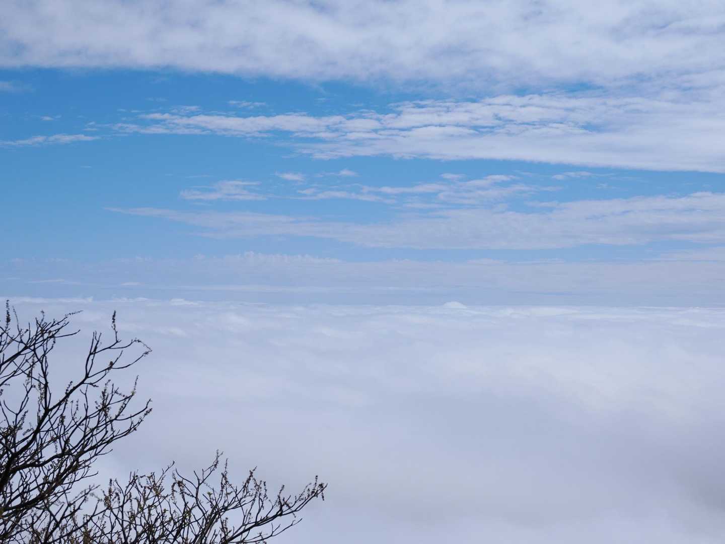 展望台に着くと雲の上に☁️
雲海の中に居たのか👀