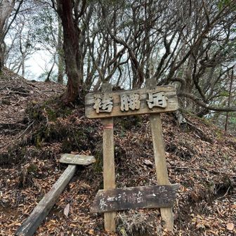 とりあえず山頂