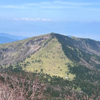 根子岳の新緑？綺麗