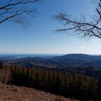 こっちの方が海🌊がよく見える
フォロワーのmikakiさんが同じ日の早い時間にここを歩いていてビックリ🫢
mikakiさんのレポ見ると水平線からの日の出🌅も見れそう🤔