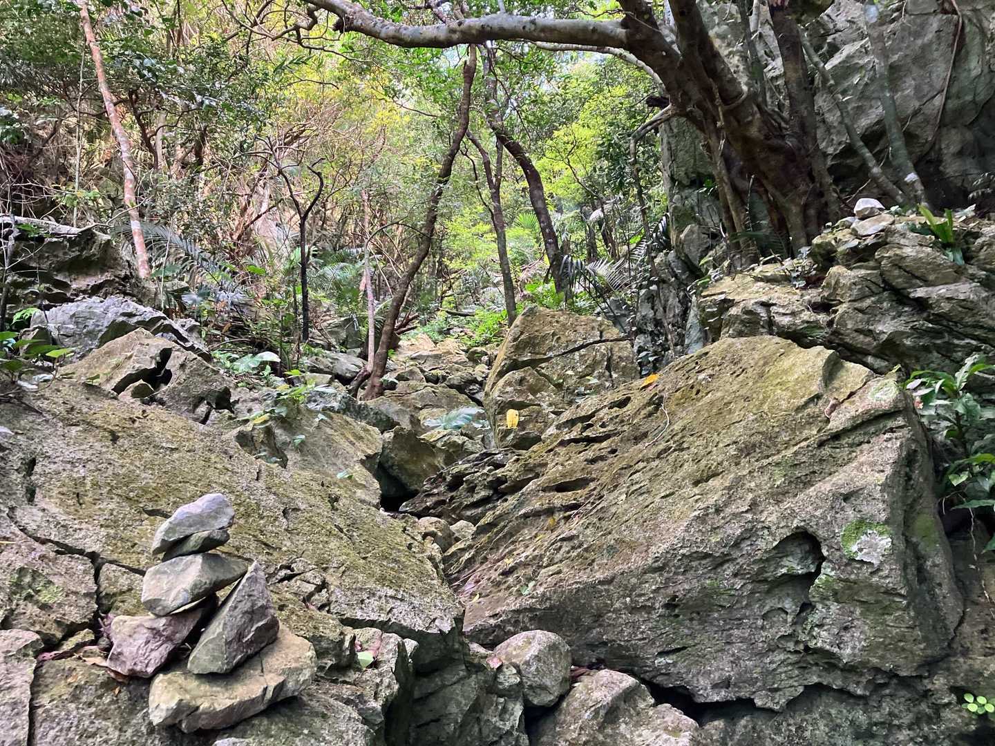 安和岳 往復コースの写真