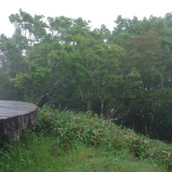 山頂は風強くて早々に退散