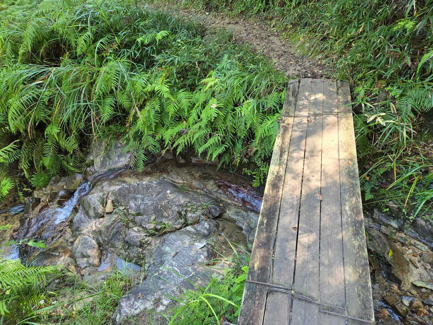 城山-こねこ山 周回コースの写真
