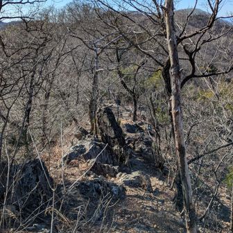 両崖山・仙人ヶ岳・石尊山 細い岩場の稜線
こーゆー道、楽しい
足場はしっかりしているけど
今日も🍃風強っ
爆風だと足元取られて危ないね