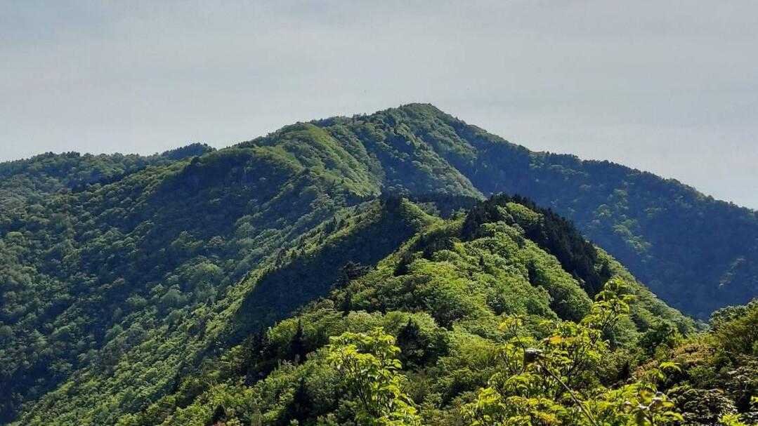 赤星山の写真