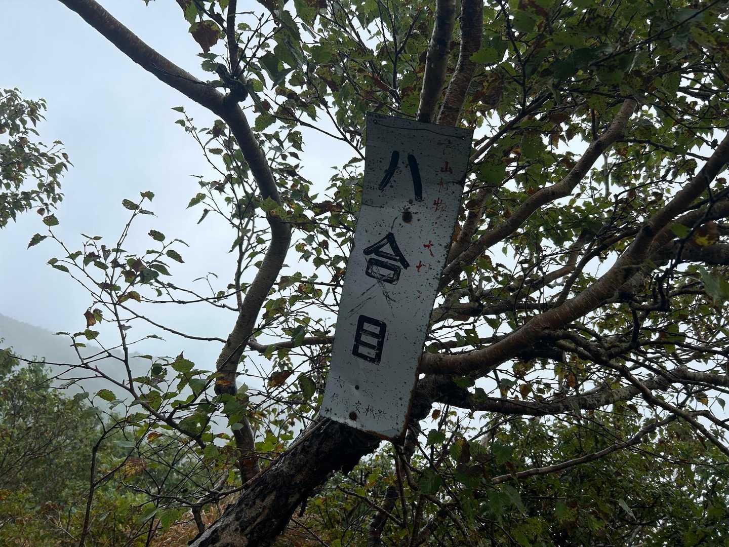 京極登山口-羊蹄山 往復コースの写真
