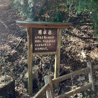 用水池が2ヶ所　この付近(馬場跡)は鞍部になっていて雨水が集約されるうえ下層の岩盤に阻まれ湧き出しているそうです、この地の保水力と自然のなせる業ですね(市担当者の回答)