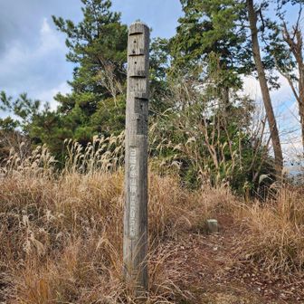 ⛰️日暮ヶ岳　山頂
尾根コースはスニーカーで来れそう