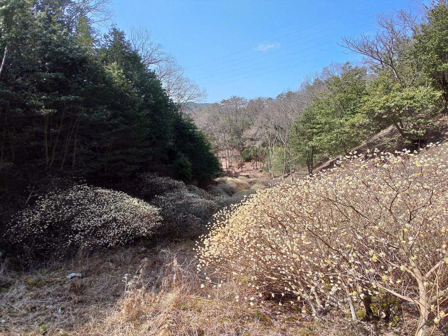 妙見口駅-秋葉山登り口-吉川峠-青貝山 往復コースの写真