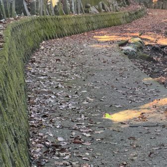 ここから墓場を通る道はなかなかよかったけど、ヒトによっては独りはちょっと嫌かも