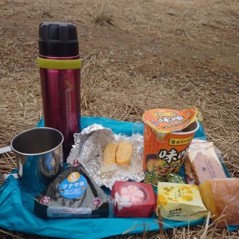 ここで、ランチタイムლ(´ڡ`ლ)