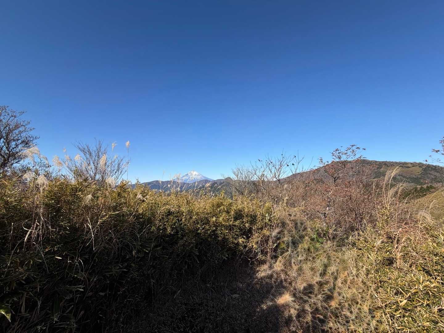 富士山を正面に見ながら歩く。
