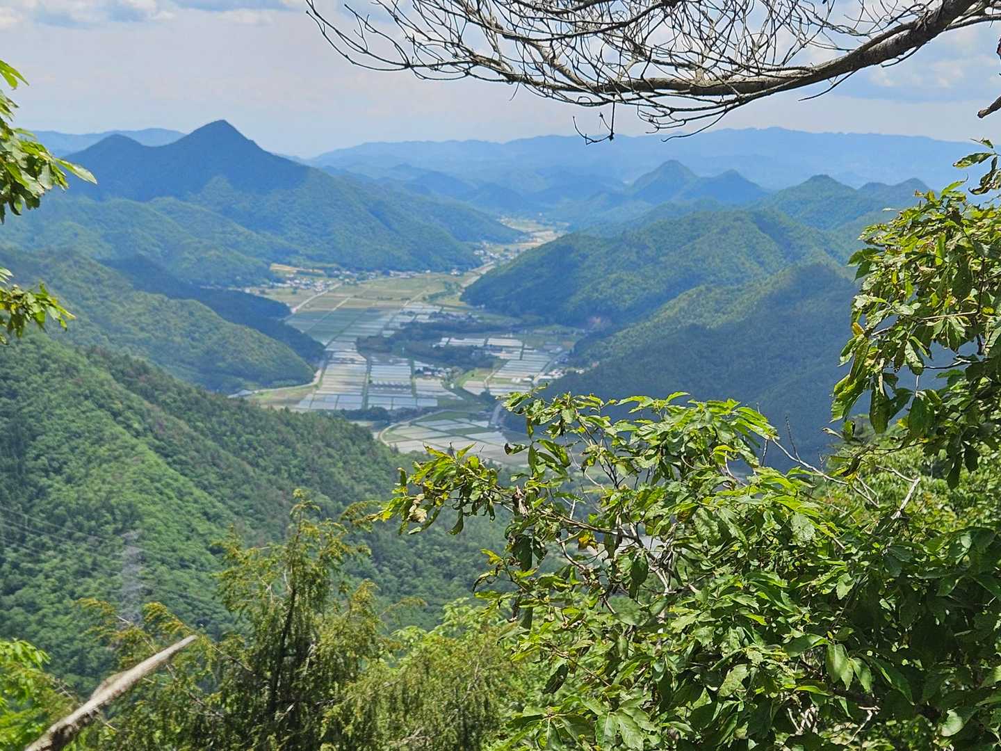 ここは登るべきだね