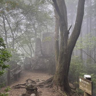 岩茸石🪨😶‍🌫️