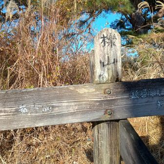 最初のピーク、櫟山とうちゃこ！
ここは初めて！
アブラチャンが多くこの近くのシダンゴ山とも植生は似ている