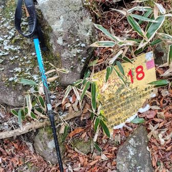 落とし物。ストック。
23番には、黒縁のメガネが掛けてありました。写真なし。