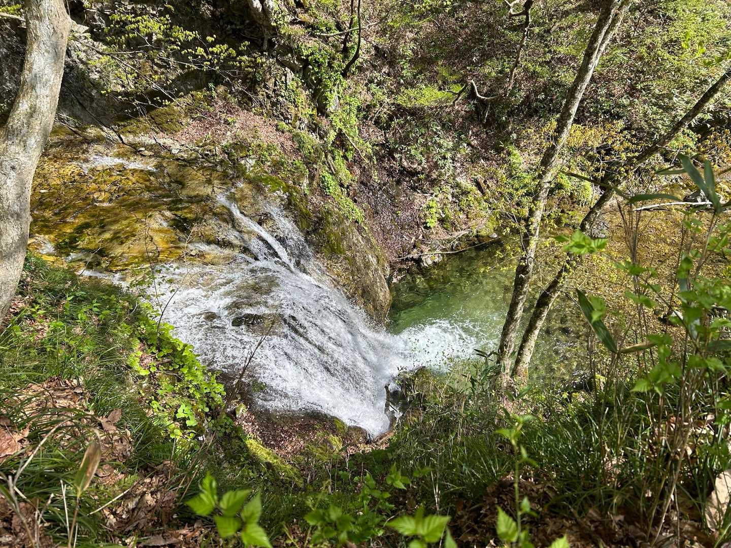 赤林山矢巾温泉登山口-赤林山-西赤林山-ノロキ山-南昌山- 周回コースの写真