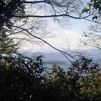 恐らく扇山火災の煙でもやけてた