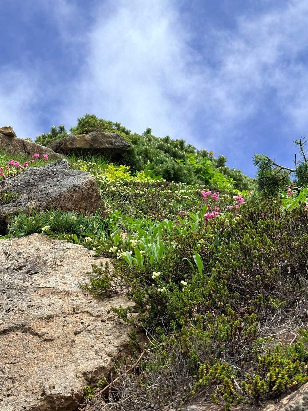 乗鞍山頂バス停-富士見岳口-剣ヶ峰口-蚕玉岳 周回コースの写真