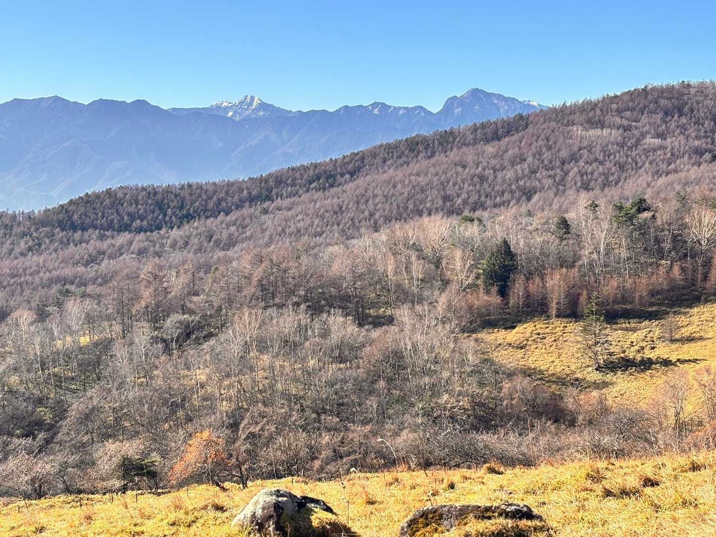 美し森山-天女山 周回コースの写真