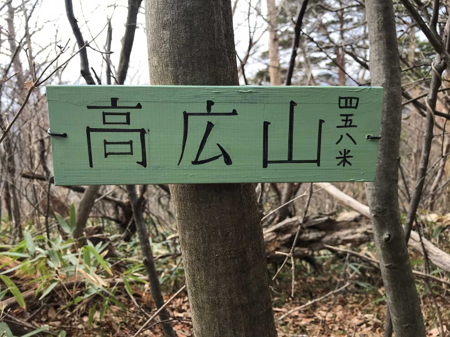 山頂標。