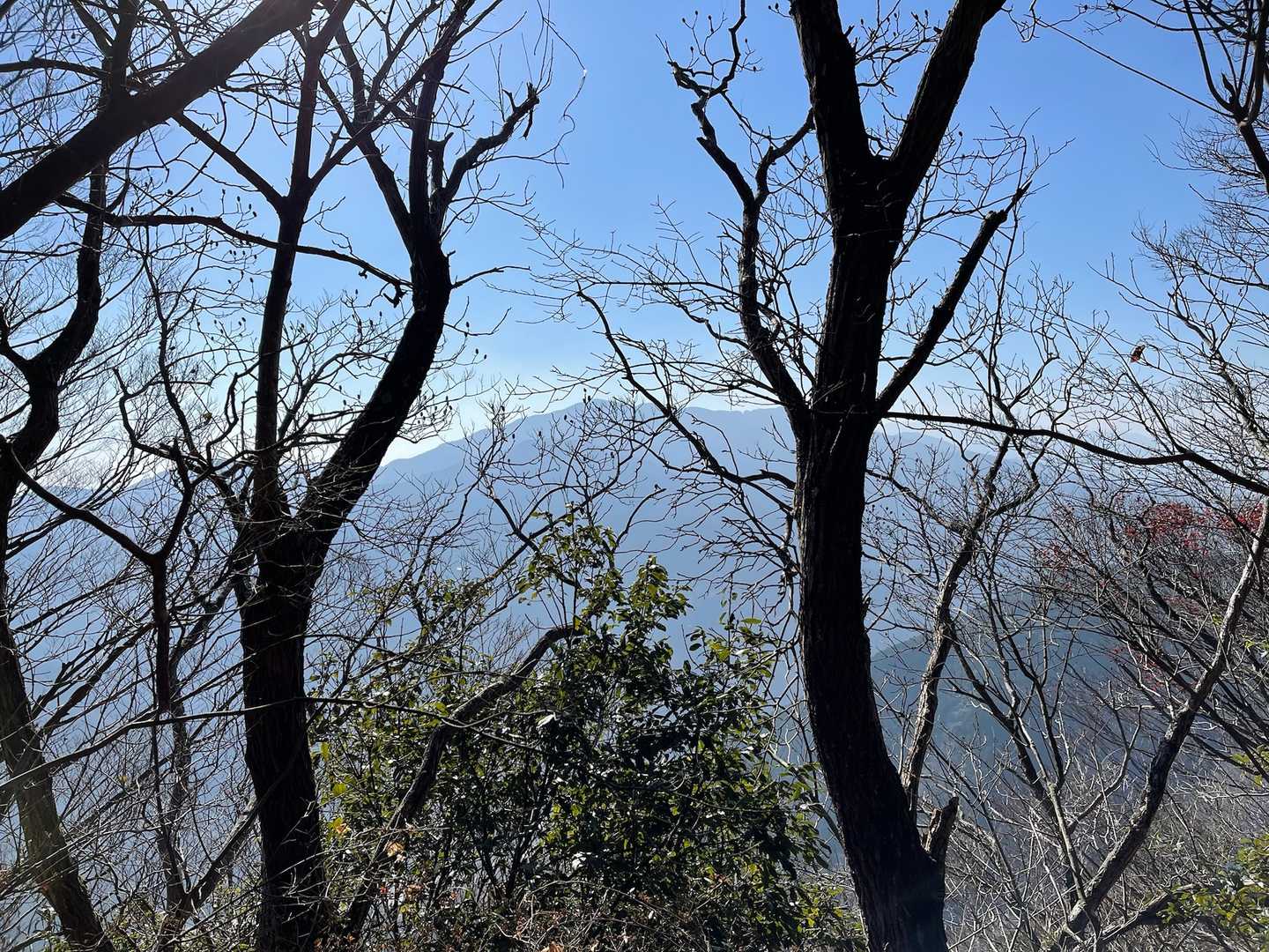 丑年🐂になって年初めに登った牛ノ峯
