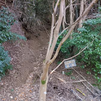砂防公園　麻呂子山登り口、ほぼ直登です
奥院の横からは登れなくなったので、ここが登り口です