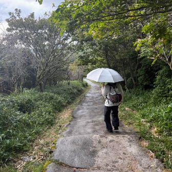 やっぱ雨降ってきて、始めてレインウェアの役割果たした😂（写真はchiiさん）

ペース上げて日没までにはギリギリ間に合った(~_~;)

今回のコースで登ってみて、もっと体力つけないといけない事がわかった。山に行く頻度を増やそうかな。

17サミッツ１day制覇はまだ無理や
