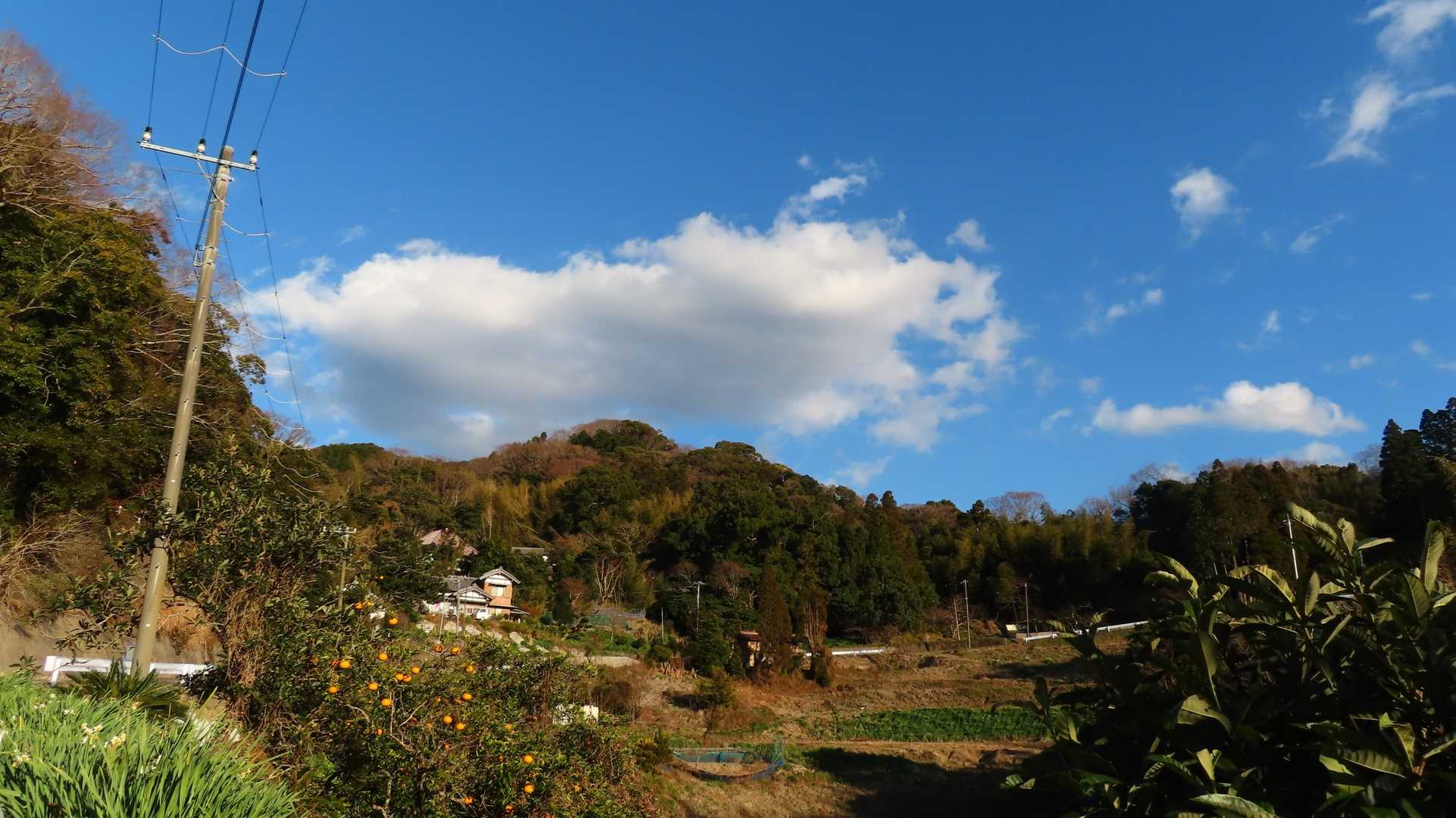 大崩バス停-津森山-人骨山 周回コースの写真