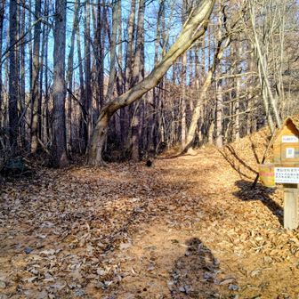 すっかり夕暮れ