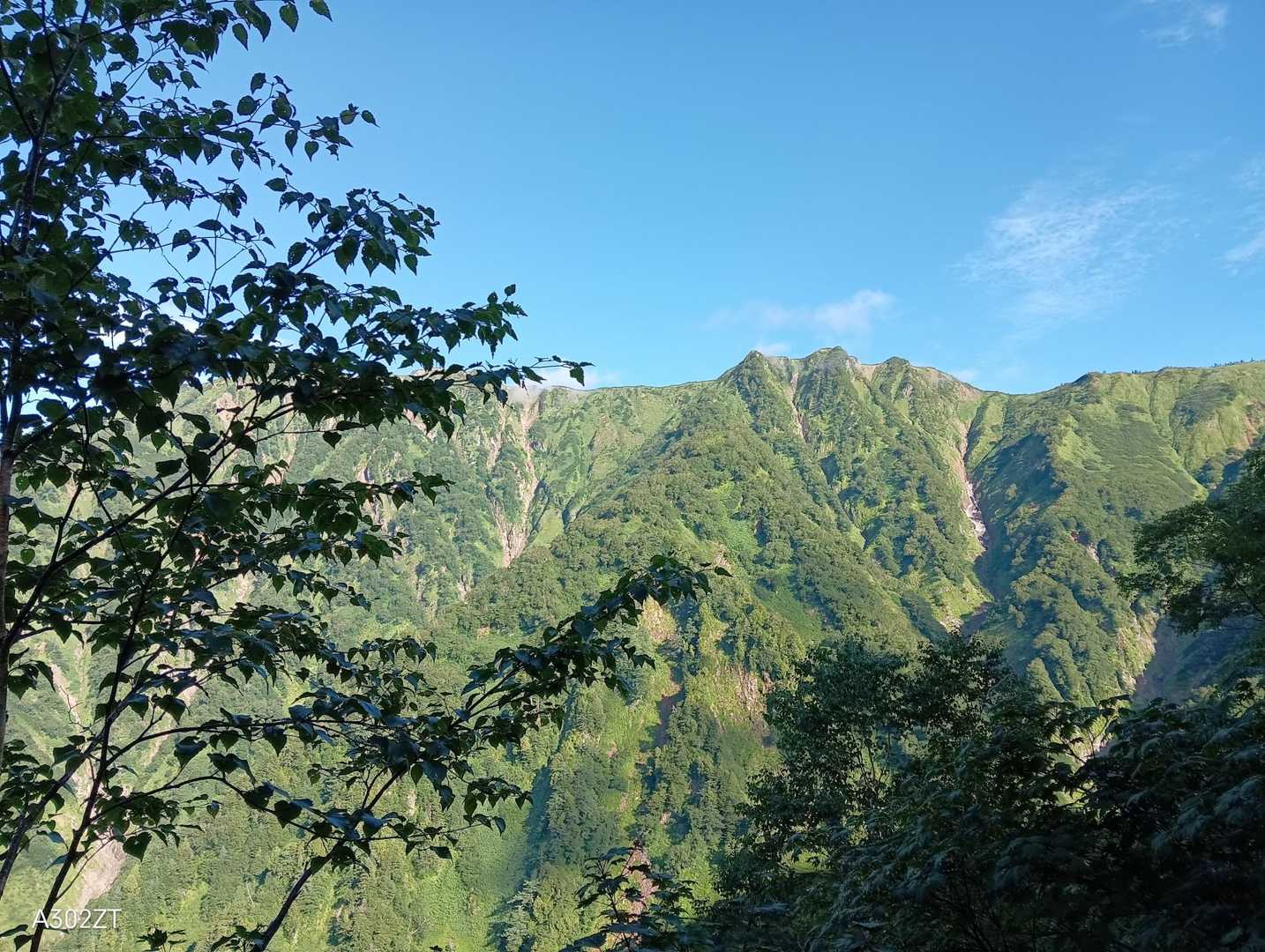 柏原新道登山口-爺ヶ岳-爺ヶ岳 縦走コースの写真