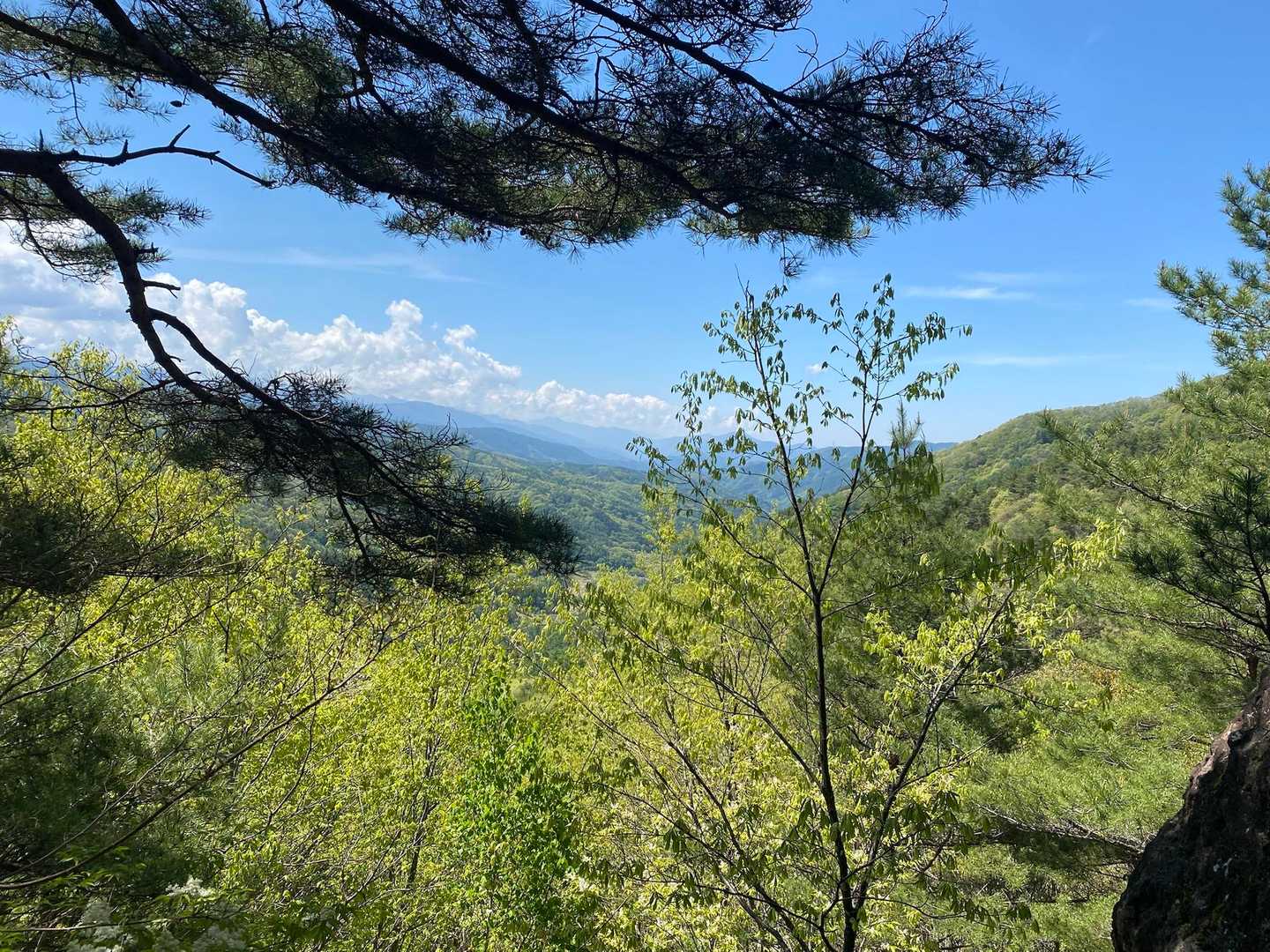 杖突峠-守屋山-守谷山立石コース 周回の写真